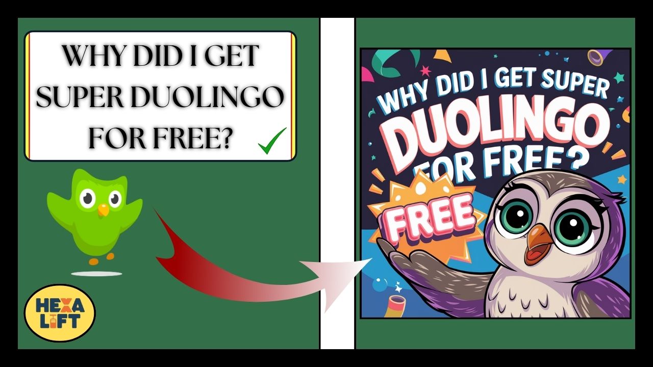 Why Did I Get Super Duolingo For Free
